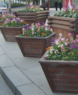 ����ľ����΂�����HT-HX170