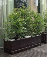 房產(chǎn)小區(qū)防腐木花箱HT-HX1060